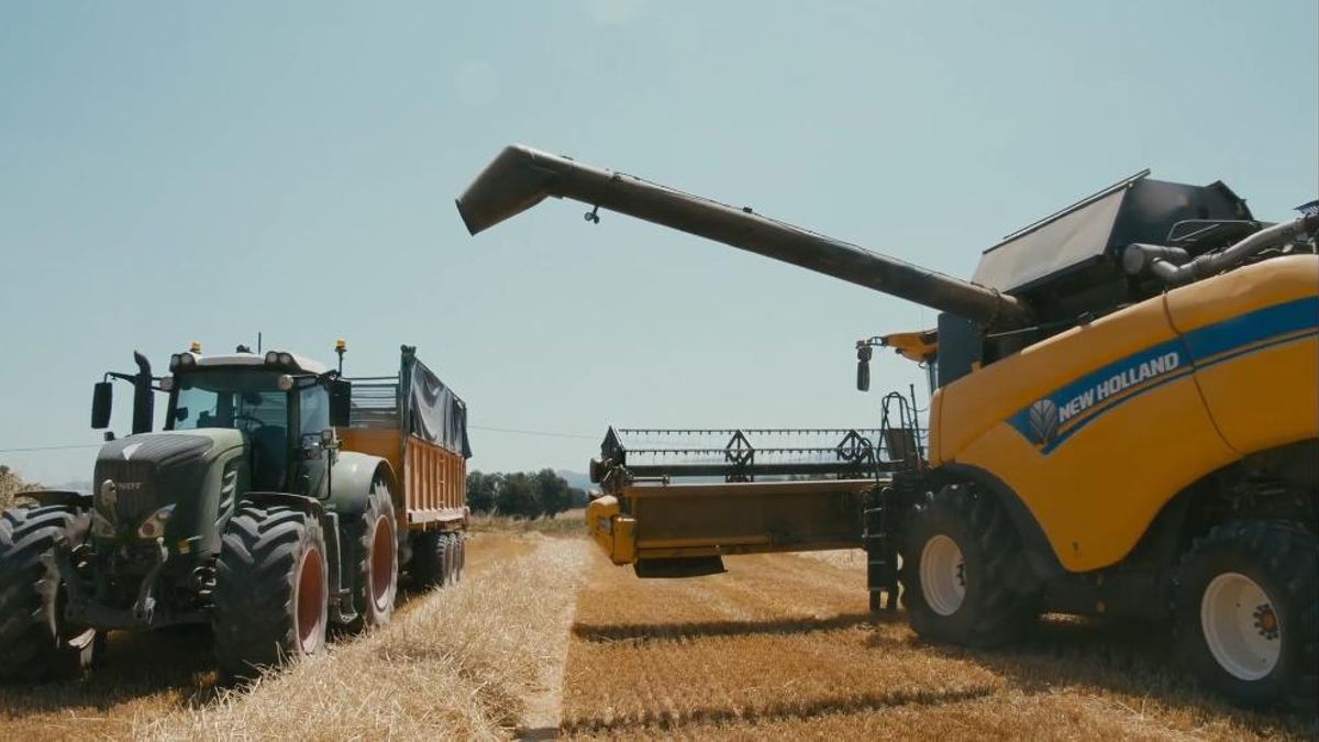 La economía circular de las pizzas más famosas del supermercado