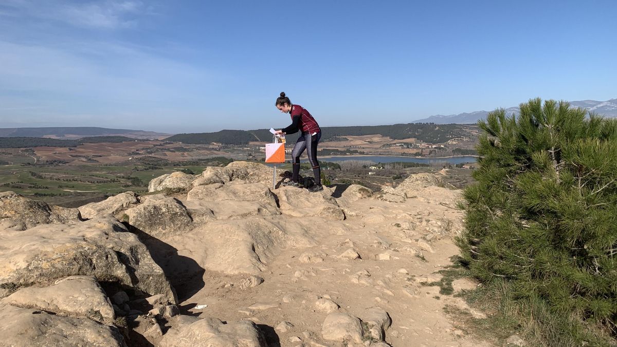 Todas las novedades de la temporada de los Juegos Deportivos de La Rioja, que alcanzan los 20.000 participantes