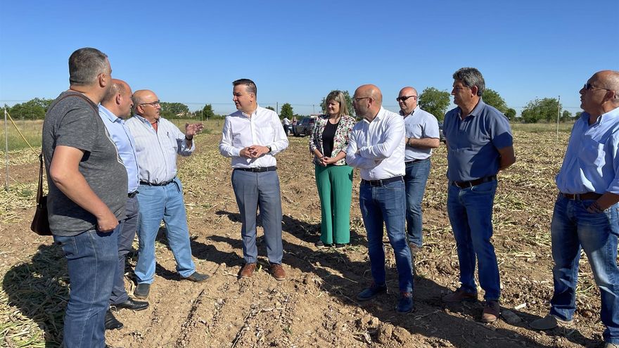 El consejero de Agricultura, Agua y Desarrollo Rural, Francisco Martínez Arroyo, visitando los cultivos