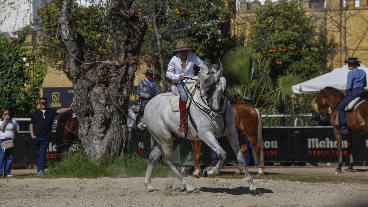 XVIII Marcha Hípica ‘Córdoba a Caballo’