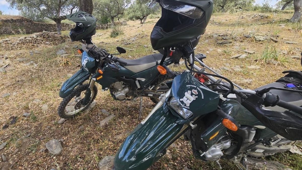 Motos de agentes del Seprona en foto de archivo