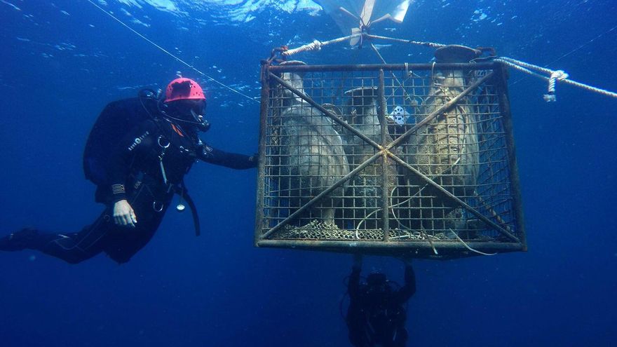 Trabajos en el yacimiento del Bou Ferrer