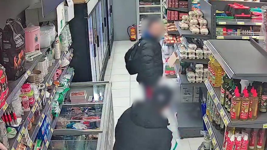 Cae un grupo criminal que robaba en farmacias y supermercados entre Toledo y Madrid