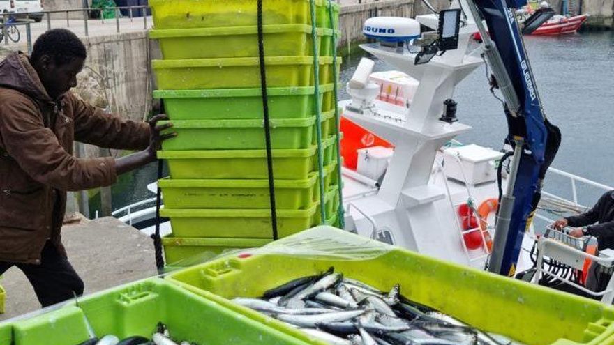 La Cofradía de Pescadores Santa Ana de Llanes, Premio al Pueblo Ejemplar de Asturias 2026