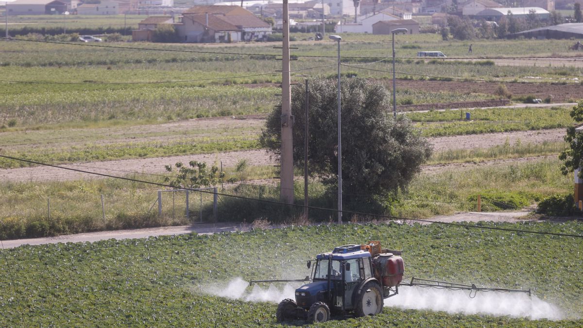 Unos 89.000 agricultores y ganaderos de Castilla-La Mancha se beneficiará de la orden reducciones en el IRPF 2025