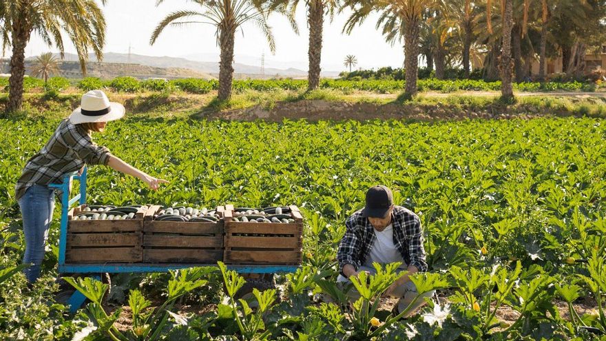 Productores sostenibles