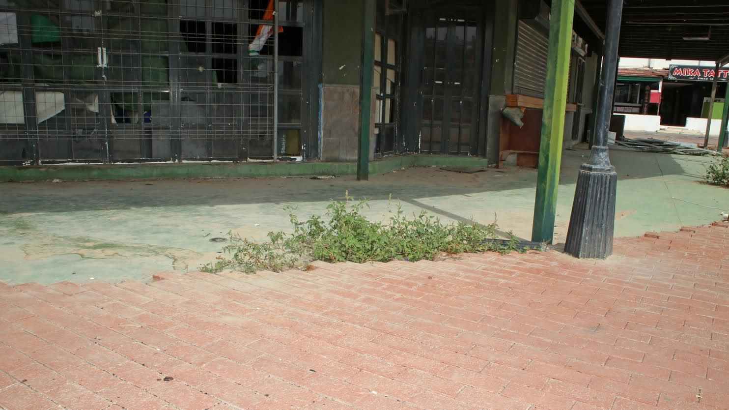 Abandono del Parque Europeo, en Playa del Inglés. (ALEJANDRO RAMOS)