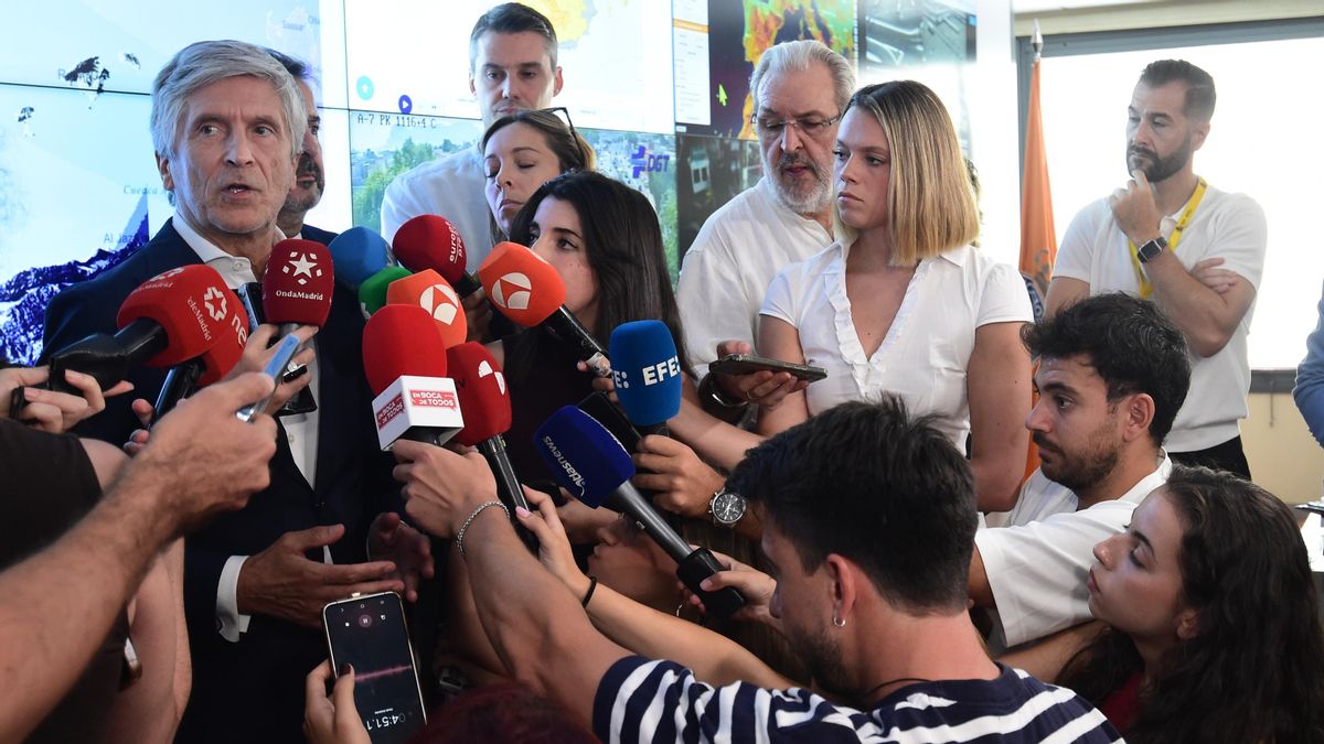 El ministro del Interior, Fernando Grande-Marlaska, atiende a los medios de comunicación antes de una reunión telemática.