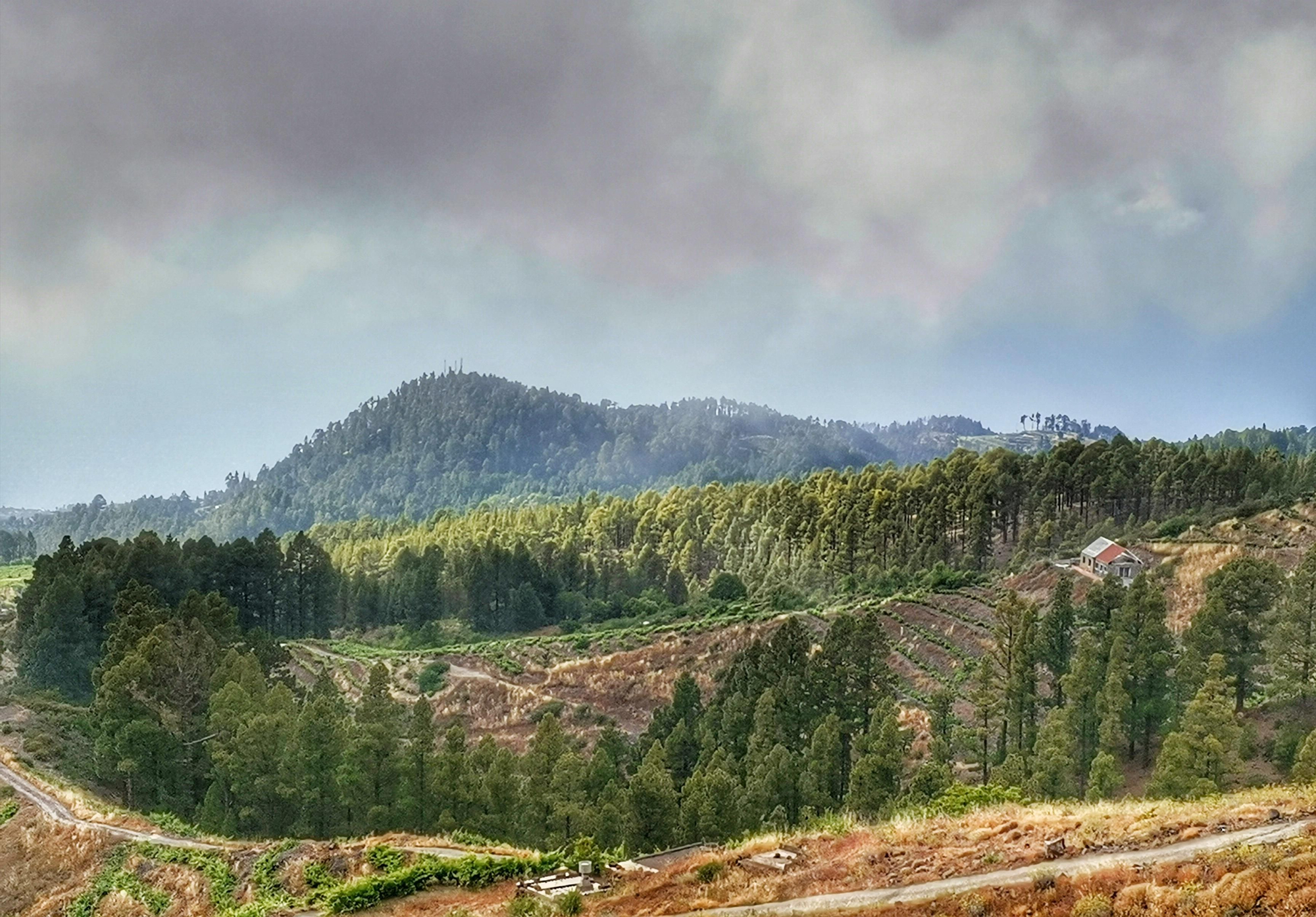 La Mesa de la Mujer Rural (MMR)  considera que r elacionar la construcción de villas turísticas con la prevención de incendios forestales es un despropósito.