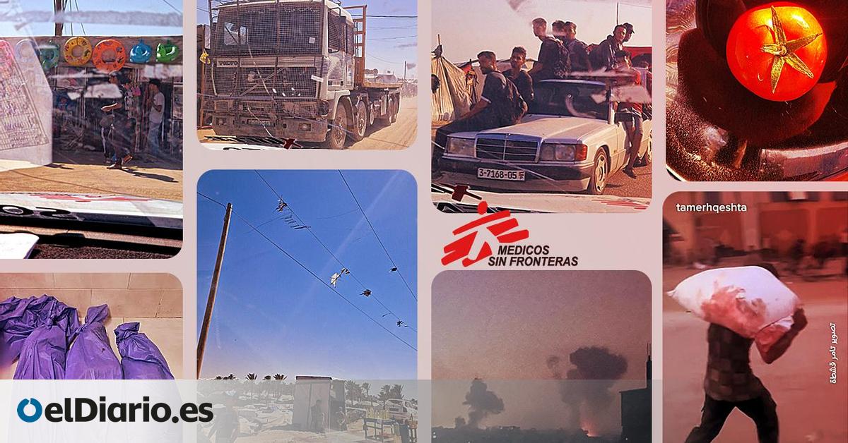 Estampas de la vida cotidiana en Gaza en medio de la brutalidad recogidas por un trabajador humanitario español