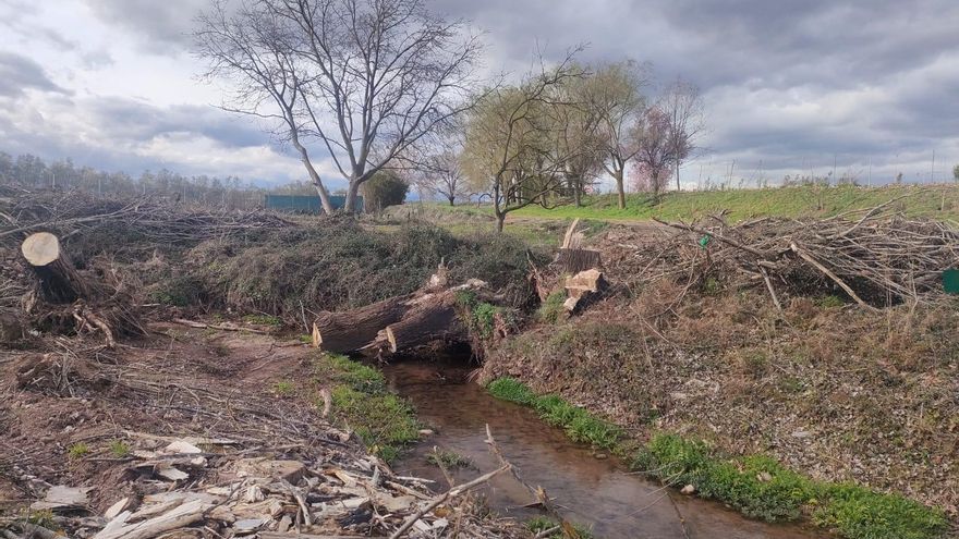 Denuncian la tala "indiscriminada" de árboles en la ribera del río Yalde en La Rioja