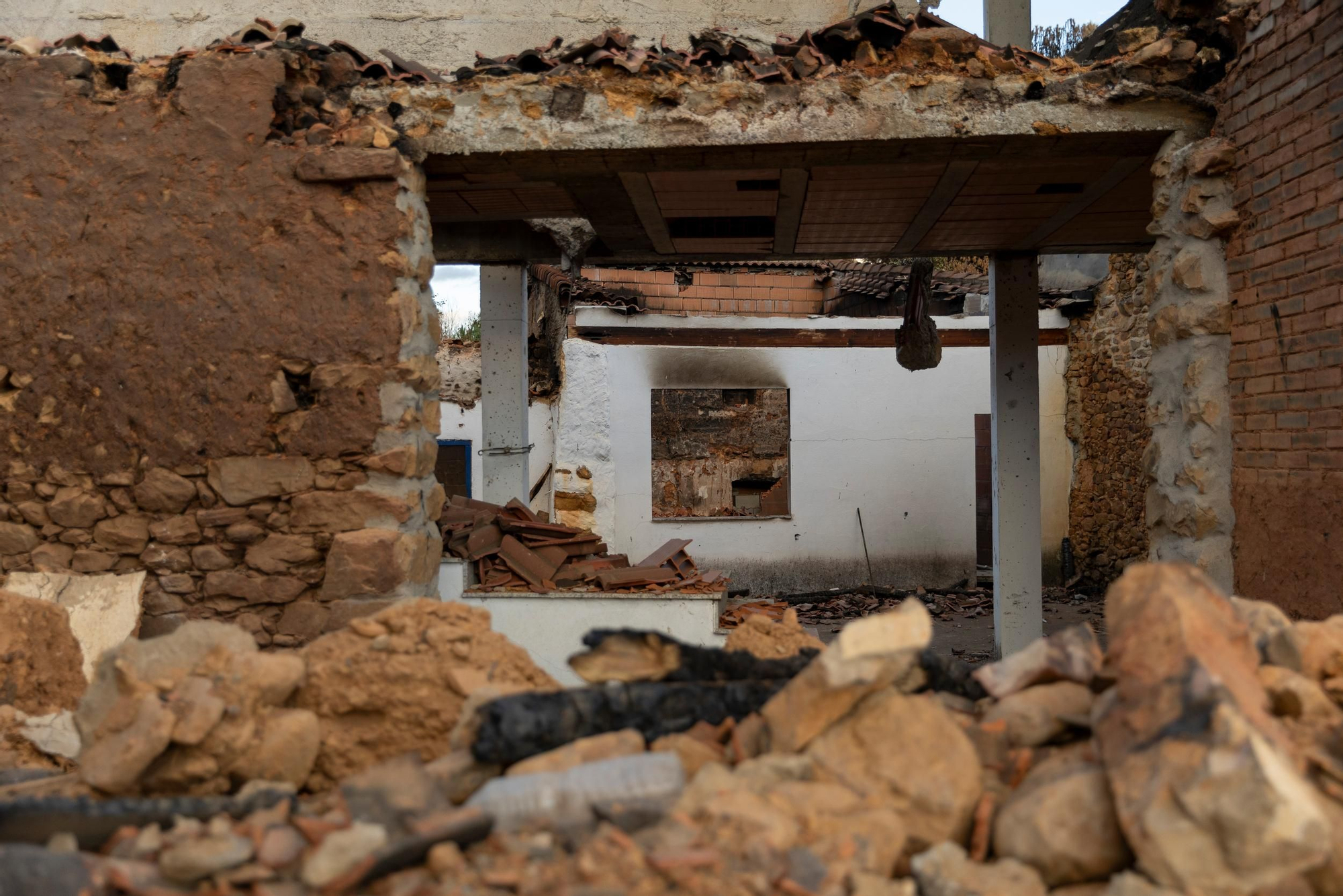 La devastación de los incendios del sur de León que impulsa la campaña internacional de Greenpeace