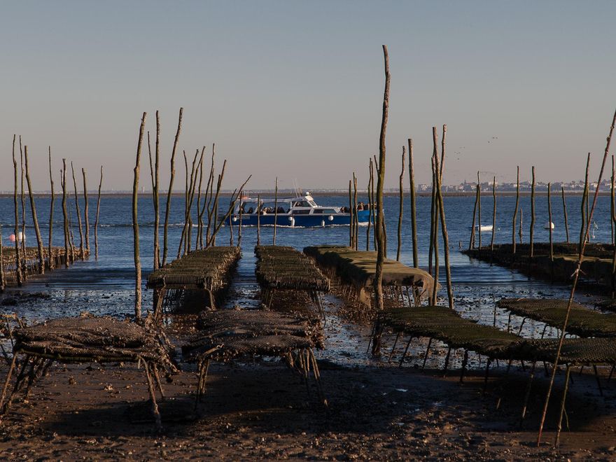 Bateas en la Bahía de Arcachon.