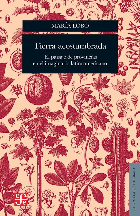 Tierra acostumbrada, de María Lobo.