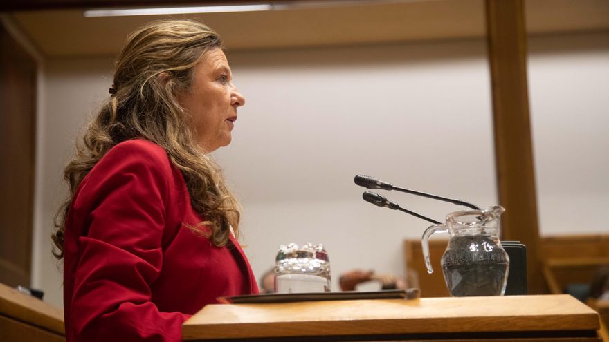 EH Bildu denuncia que el Gobierno de PNV y PSE-EE "protege a la consejera de Salud y blanquea su lamentable gestión"