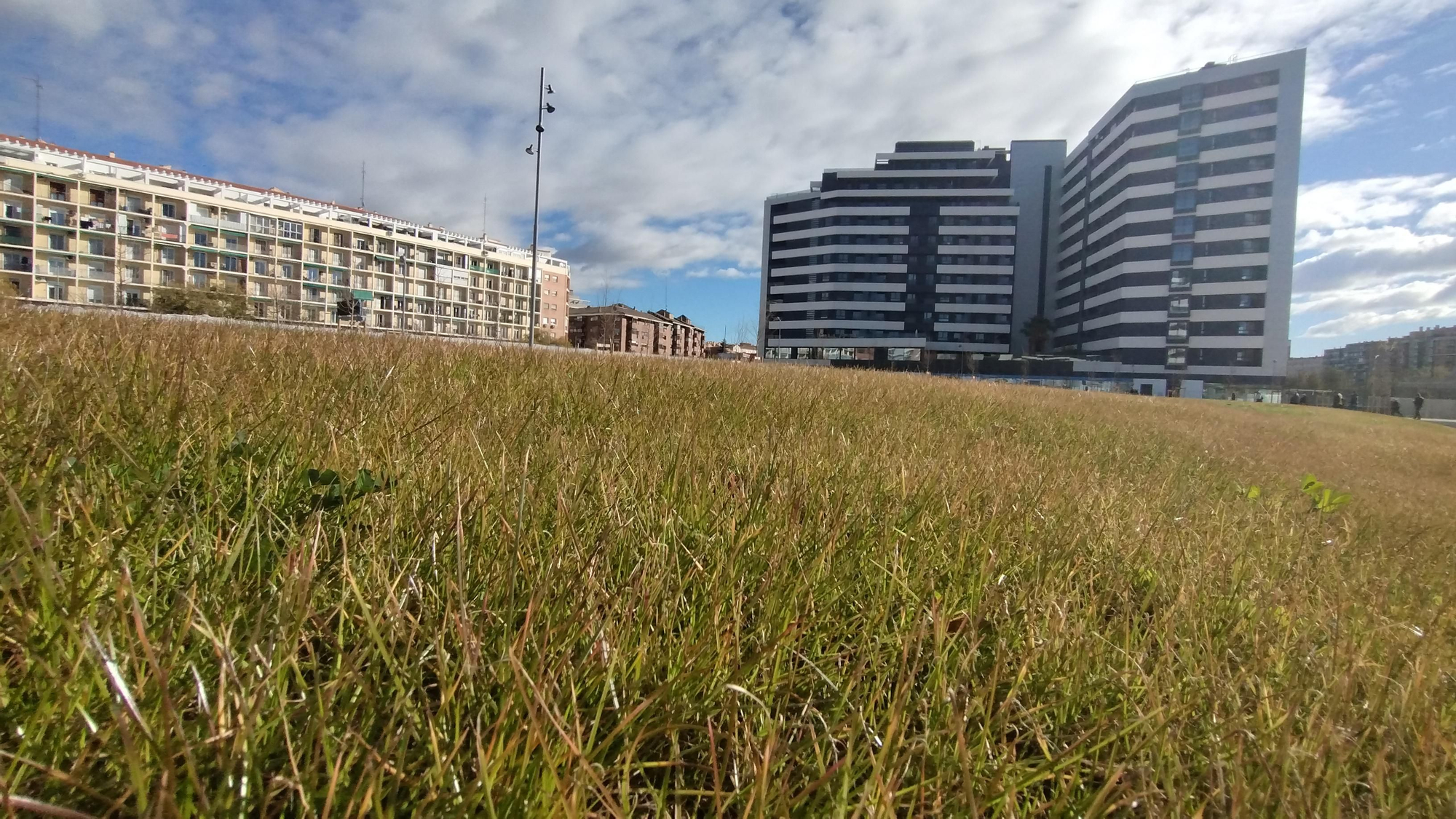 El césped del Vicente Calderón (parque)