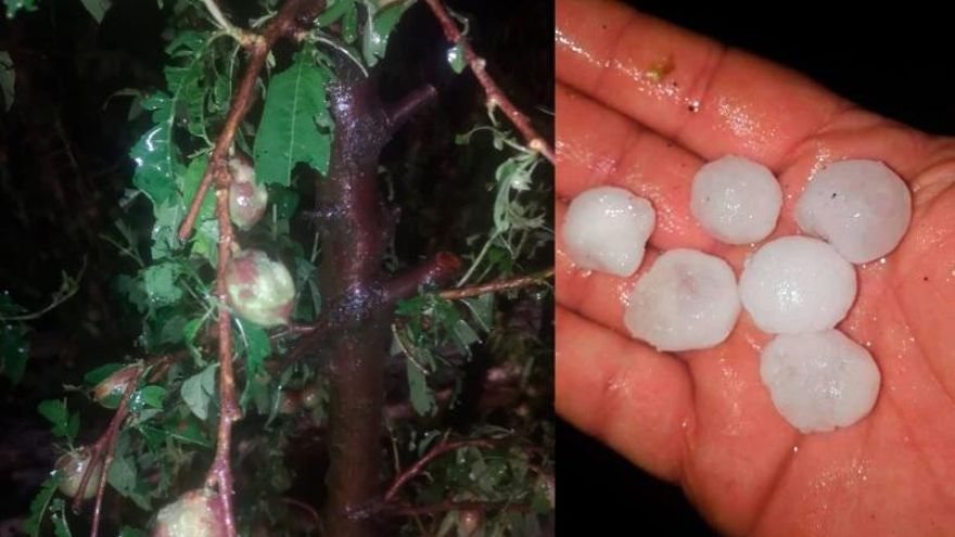 El granizo ha afectado a unas 1.000 hectáreas de frutales en las Vegas Altas del Guadiana