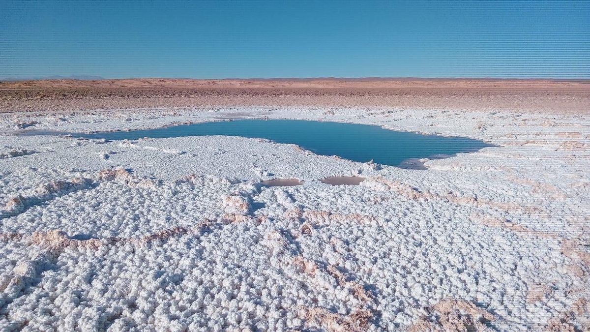 Los salares y sus lagunas y arroyos son oasis en el desierto de la reserva Los Andes. Foto: obtenida por Mongabay Latam