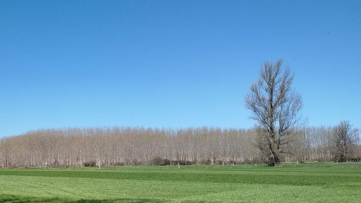 El tiempo hoy en León, jueves 2 de abril: intervalos nubosos en el norte y ambiente estable en el resto