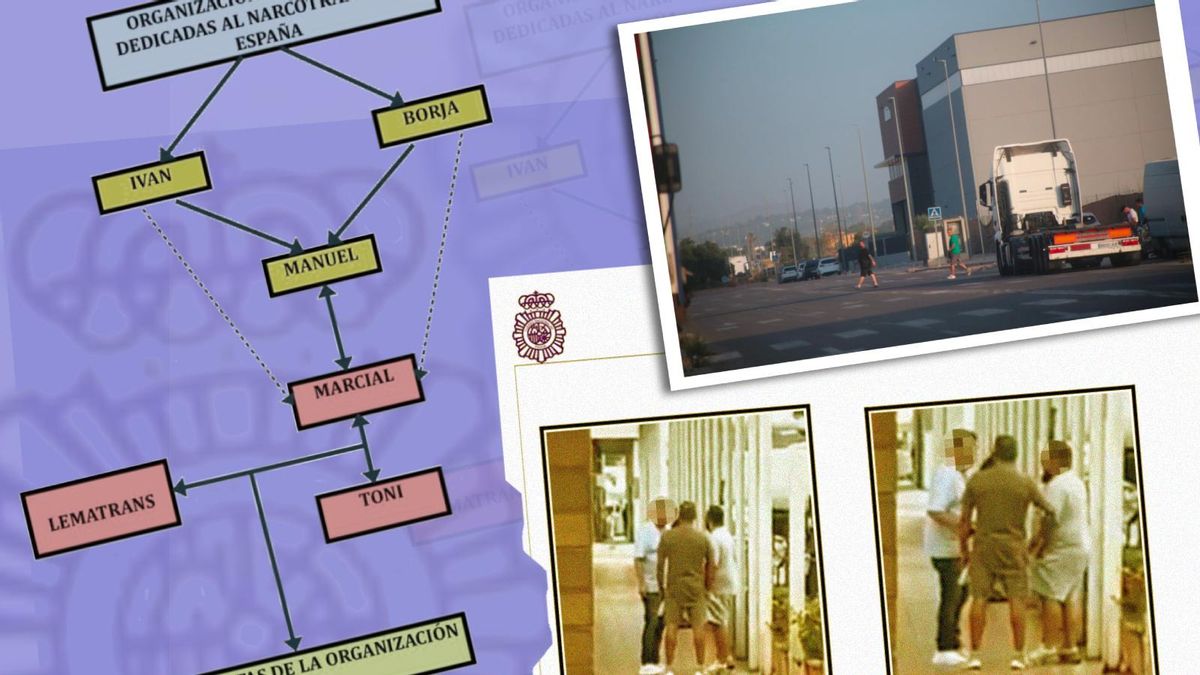 El gerent d'una companyia "líder" del Port de València va ser "fonamental" per a introduir partides de dues tones de coca