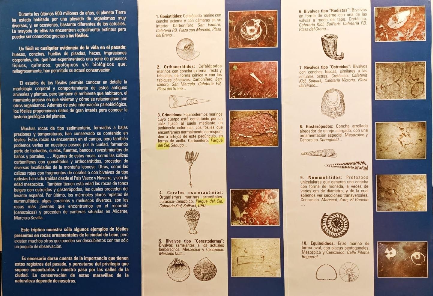 Folleto de la Ruta Urbana de Fósiles de León que se entregaba en la Oficina de Turismo.