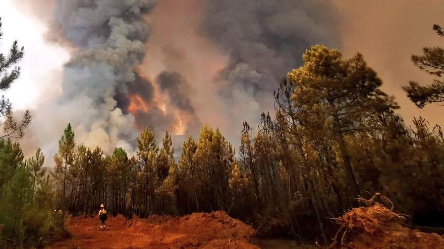Imagen de los trabajos este miércoles