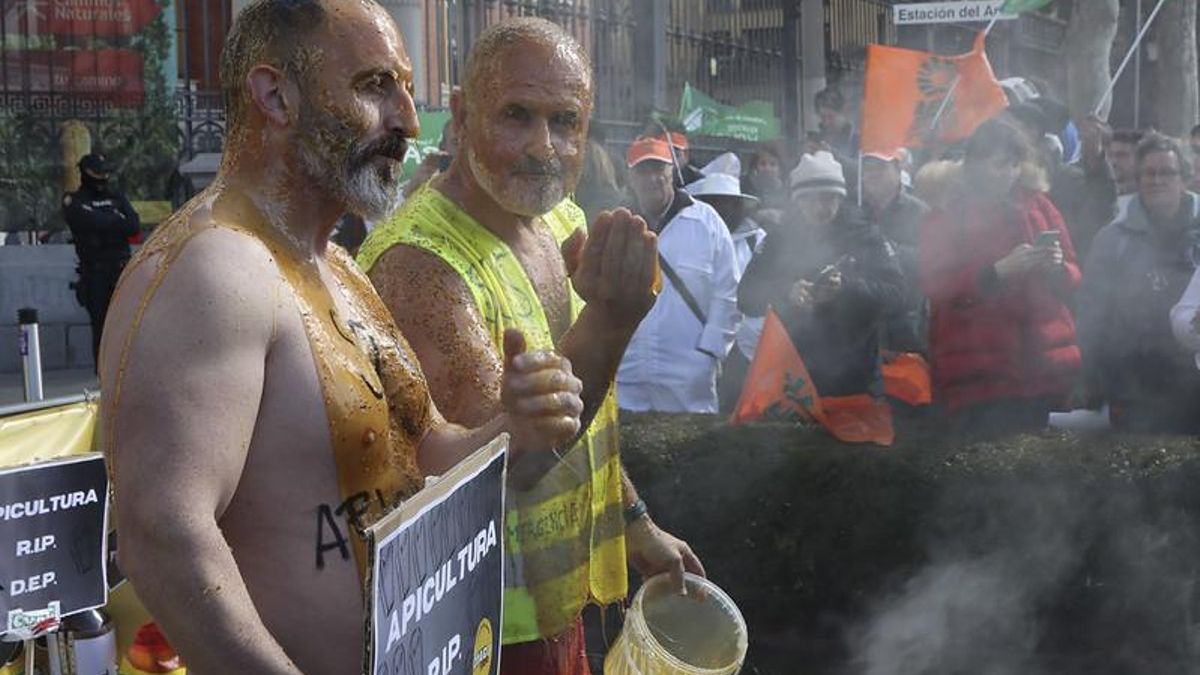 Manifestantes cubiertos de miel