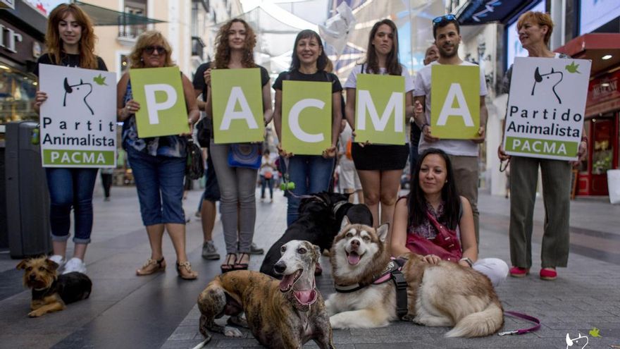 El partido animalista Pacma, más cerca de entrar en el Congreso al que se presentan varios toreros