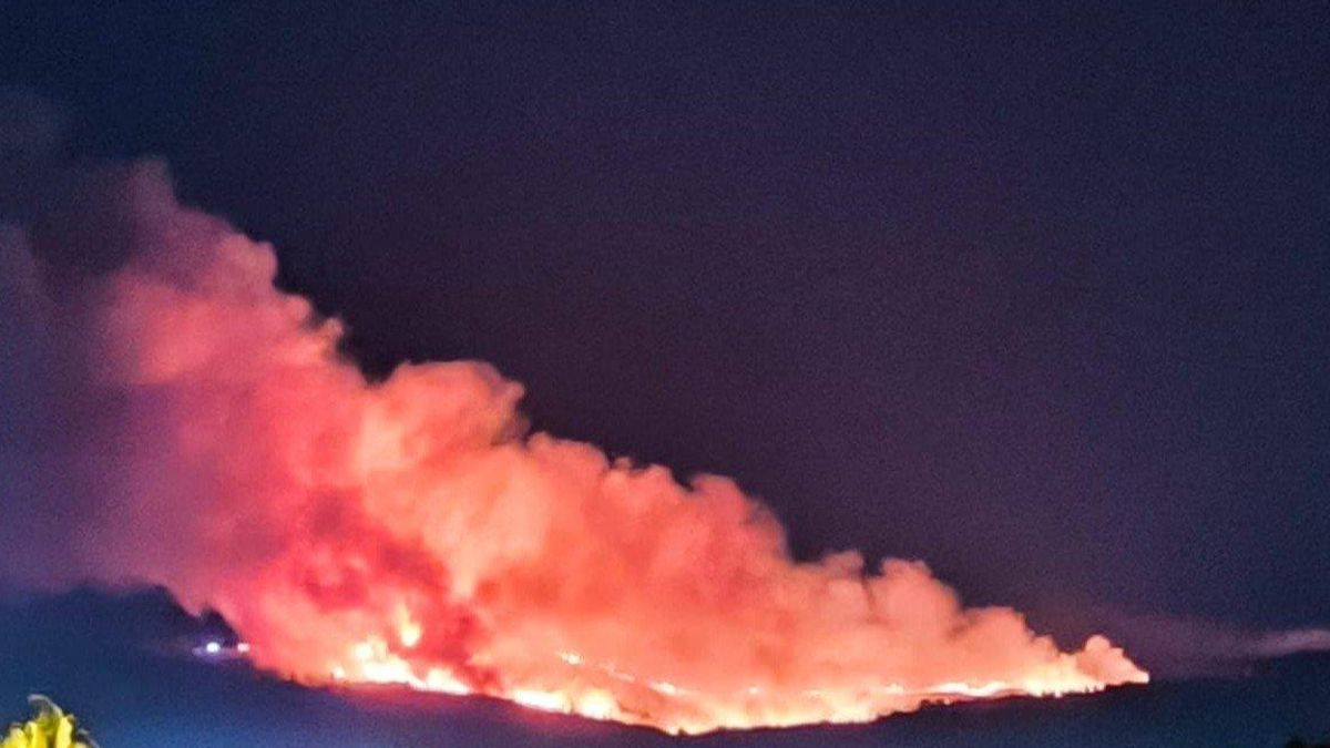 Extinguido un incendio en las inmediaciones del aeropuerto de Loiu