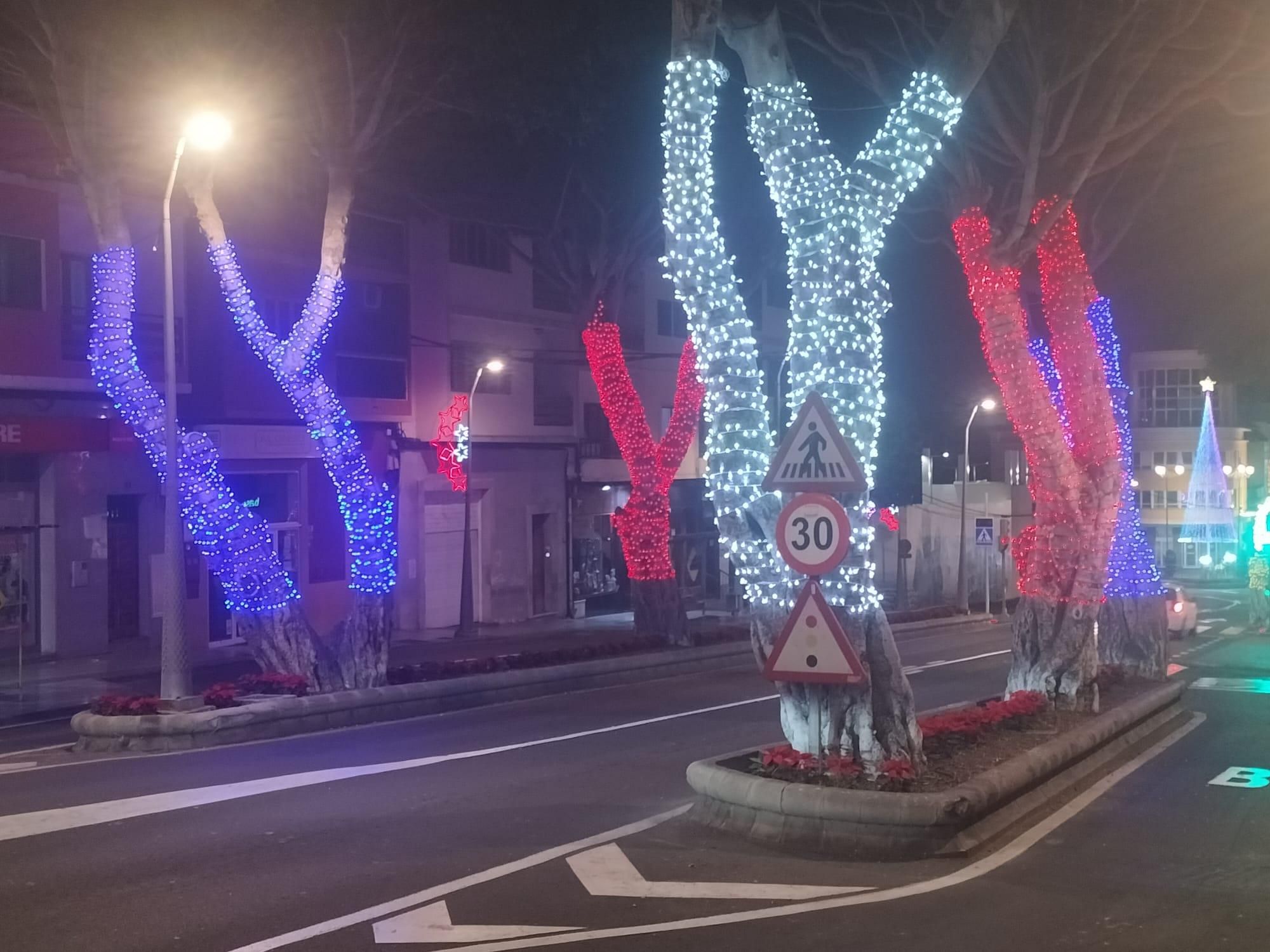 Arbolado urbano en Gáldar (Gran Canaria), con luces de Navidad.