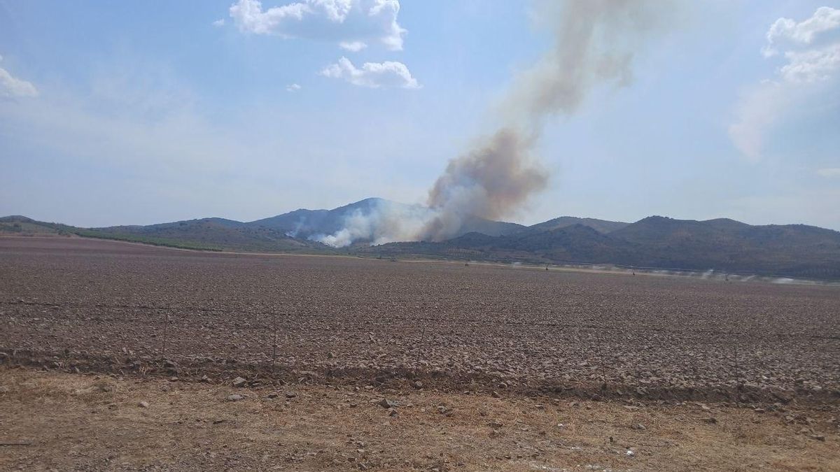 Declarado un incendio a los pies de la sierra de Algairén, en Zaragoza: confinan el municipio de Alpartir