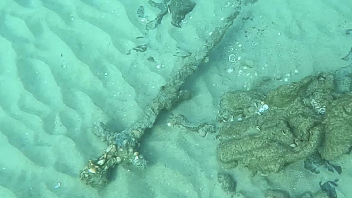 Las investigaciones actuales reinterpretaron los restos hallados en el Mediterráneo