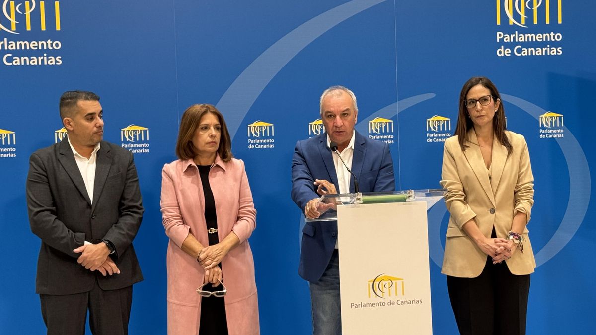 Nueva Canarias-Bloque Canarista (NC-BC).