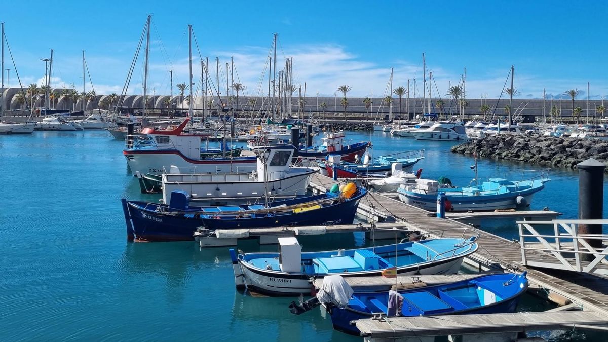 El Gobierno canario abona 150.000 euros en ayudas al sector pesquero de Tazacorte para paliar las pérdidas por la erupción