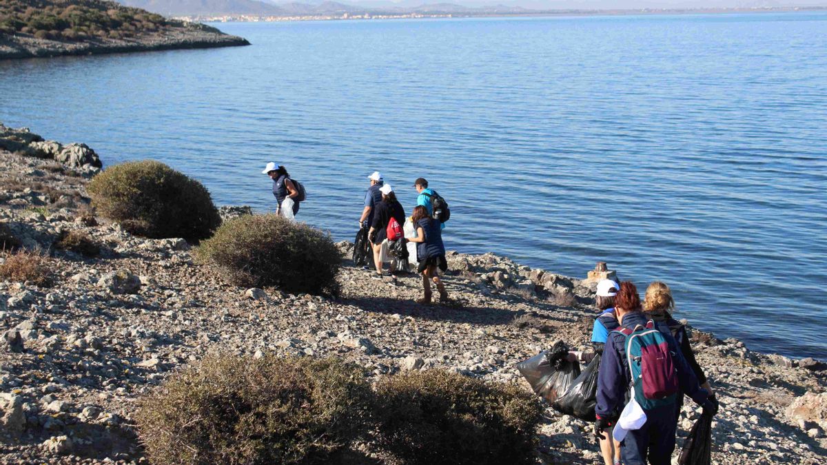 Limpieza de la Isla del Ciervo