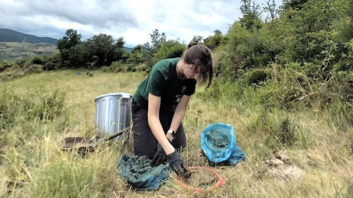 Una beca Ralbar de la ULE permite afrontar el inventario de los escarabajos del Valle de Reyero
