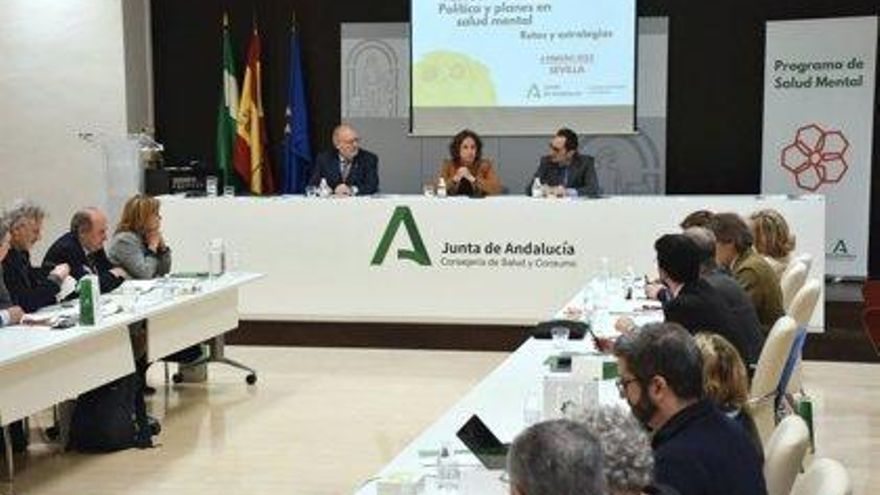 Psicólogos de la sanidad pública de Andalucía denuncian "presión asistencial" y "agendas saturadas"