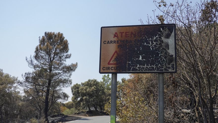 El incendio de Ávila evoluciona “favorablemente”: todos los vecinos de los pueblos desalojados pueden volver a su casas
