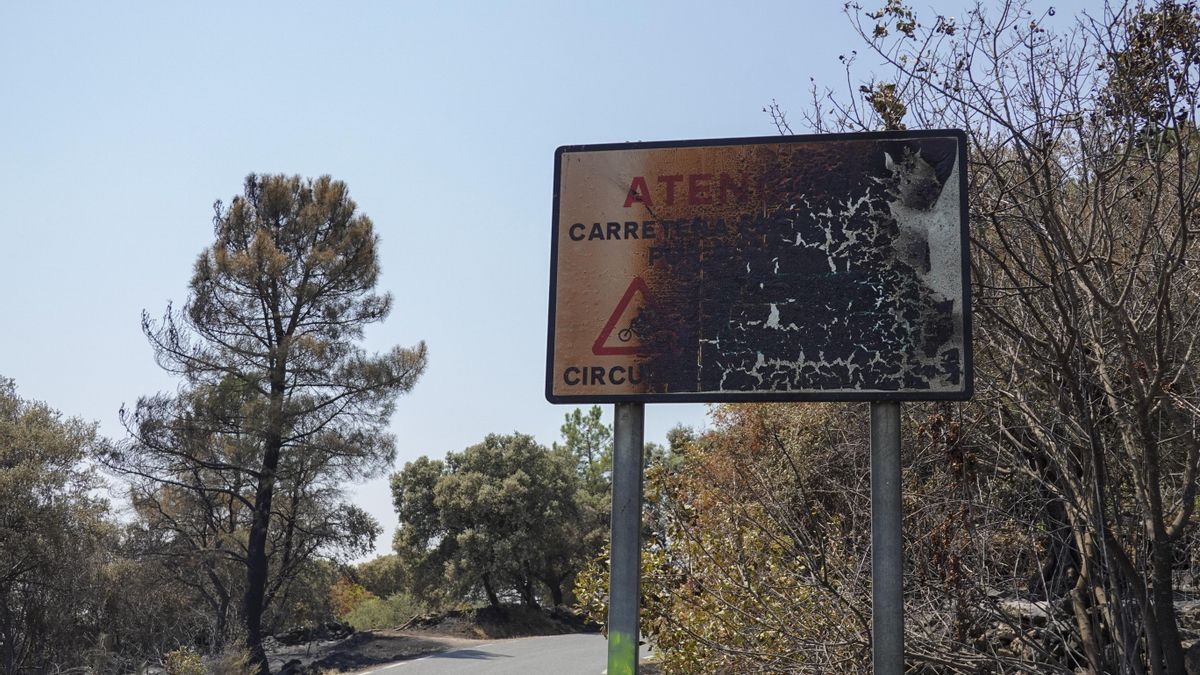 El incendio de Ávila evoluciona “favorablemente”: todos los vecinos de los pueblos desalojados pueden volver a su casas