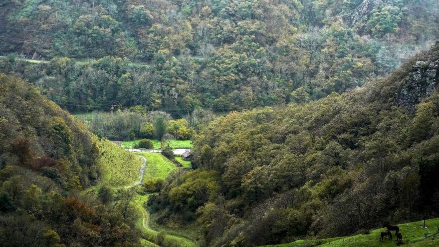 La semana empieza con lluvias fuertes en Canarias y un descenso progresivo de temperaturas