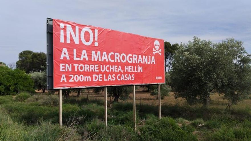 Más de 2.700 firmas contra la macrogranja de terneros en una pedanía de Hellín