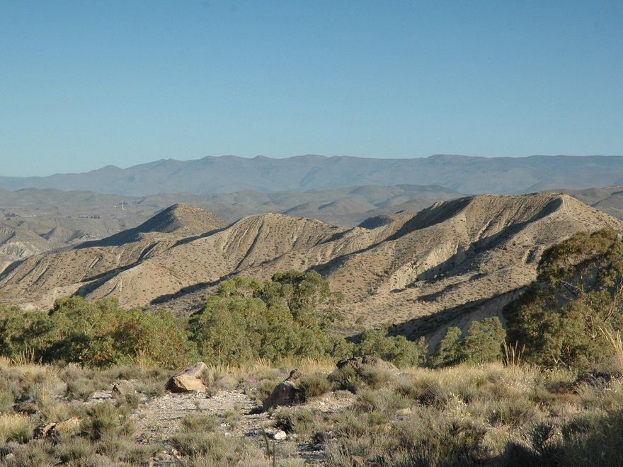 Desierto de Tabernas. Las manchas de vegetación se concentran en los cauces de ramblas y barrancos.