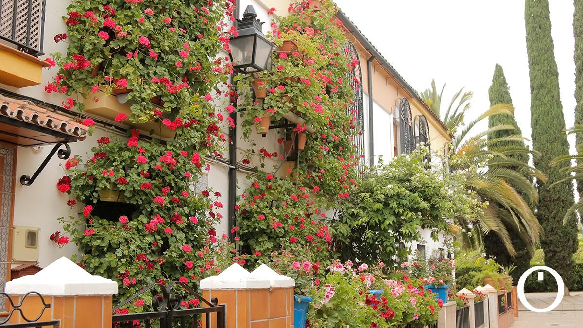 Rejas y Balcones en la C/ Manuel Soro Tinte, 3