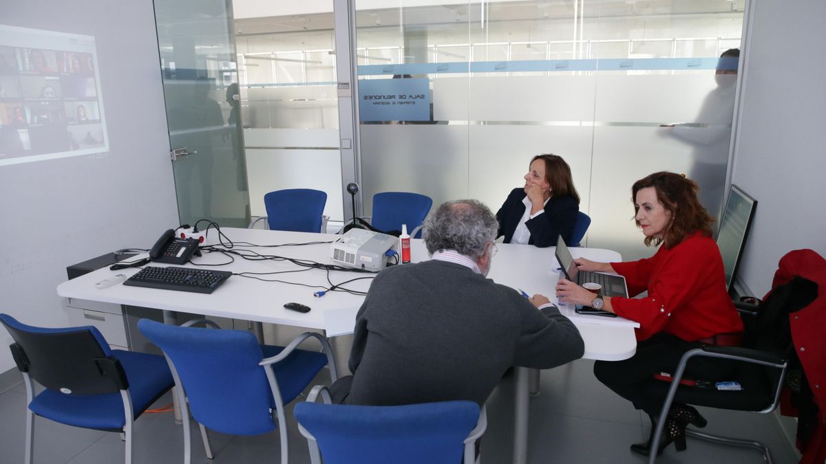 La consejera de Empleo y Políticas Sociales, Ana Belén Álvarez, en videoconferencia con el ministro.