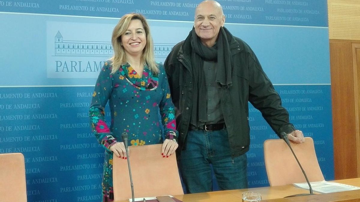 Podemos reclamará unos 300 millones para la Renta Básica en sus enmiendas parciales al Presupuesto