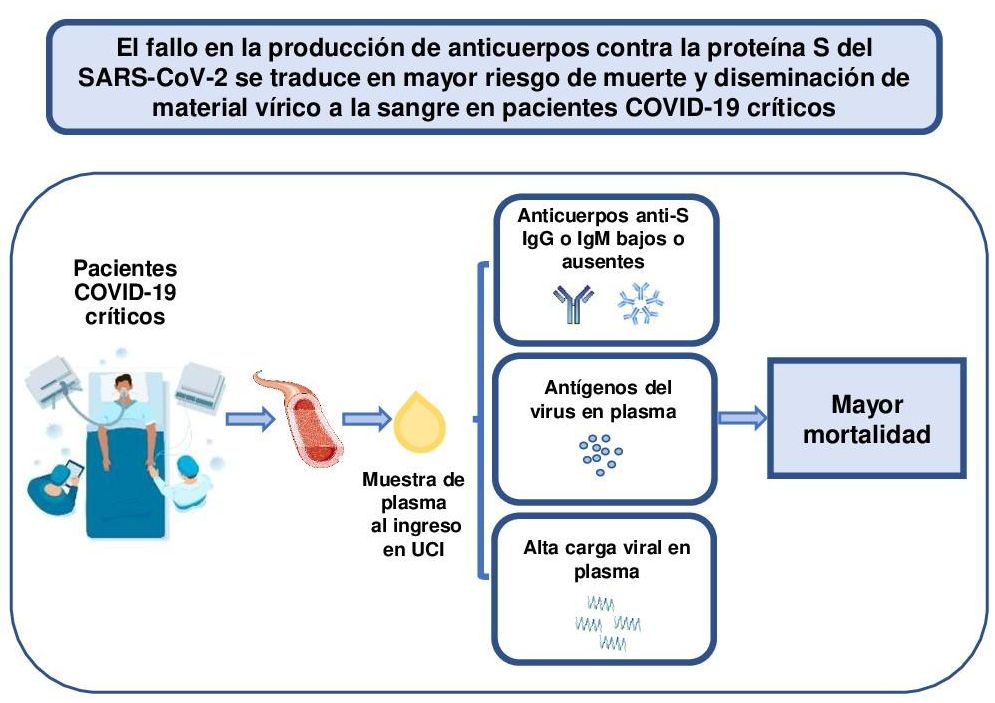 Los niveles bajos de anticuerpos anti-SARS-CoV-2 S predicen un aumento de la mortalidad y de la diseminación de los componentes virales en la sangre de los pacientes críticos de COVID-19. / Martin-Vicente et al. Author provided