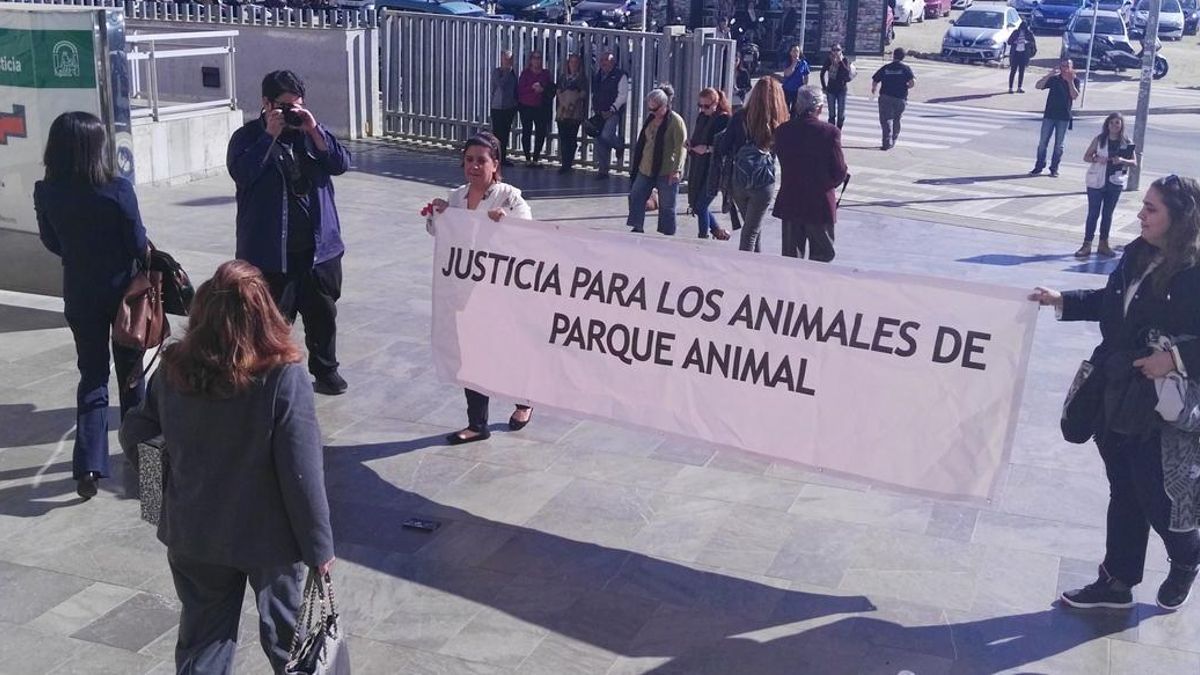 Ordenan ingreso en prisión en cinco días de exdueña de Parque Animal por sacrificar perros y gatos