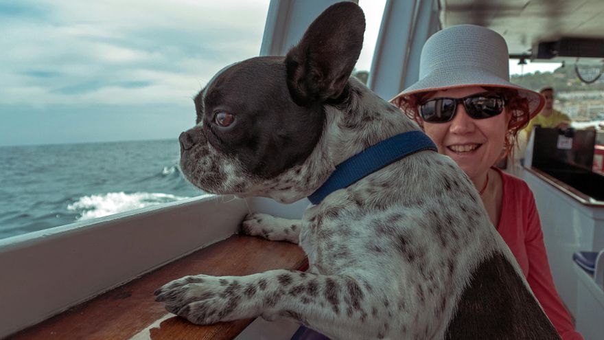 Más cerca del primer crucero para perros: con espacio para 250 canes, mayordomo y seis noches de viaje