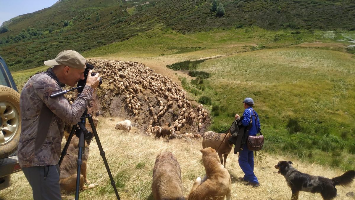 Un documental reivindica en León el papel de los pastores en la convivencia con el lobo