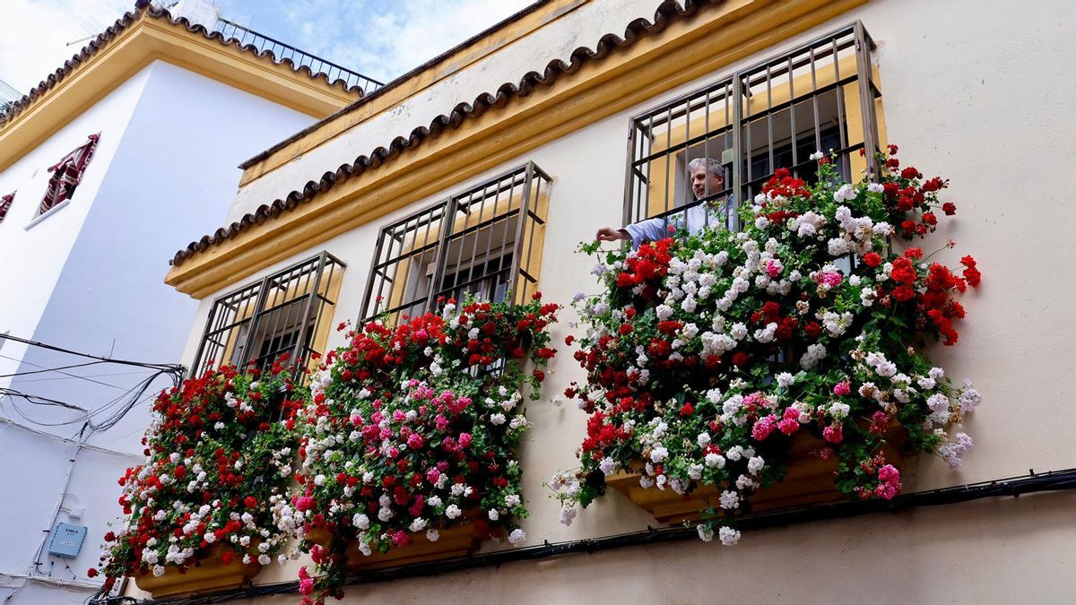 Primer premio del concurso de Rejas y Balcones 2026, en la calle Fernán Pérez de Oliva 7.